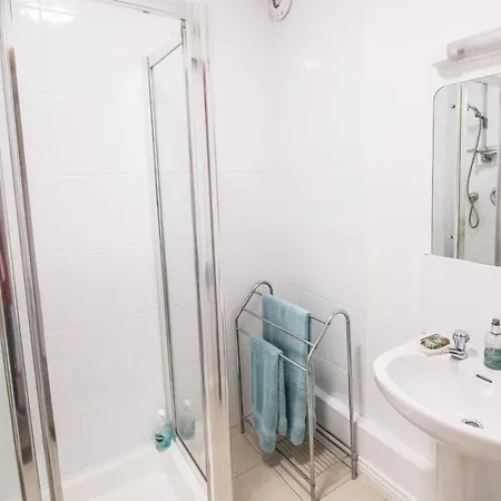 公寓 5 Star Luxury In The Heart Of 戈尔韦